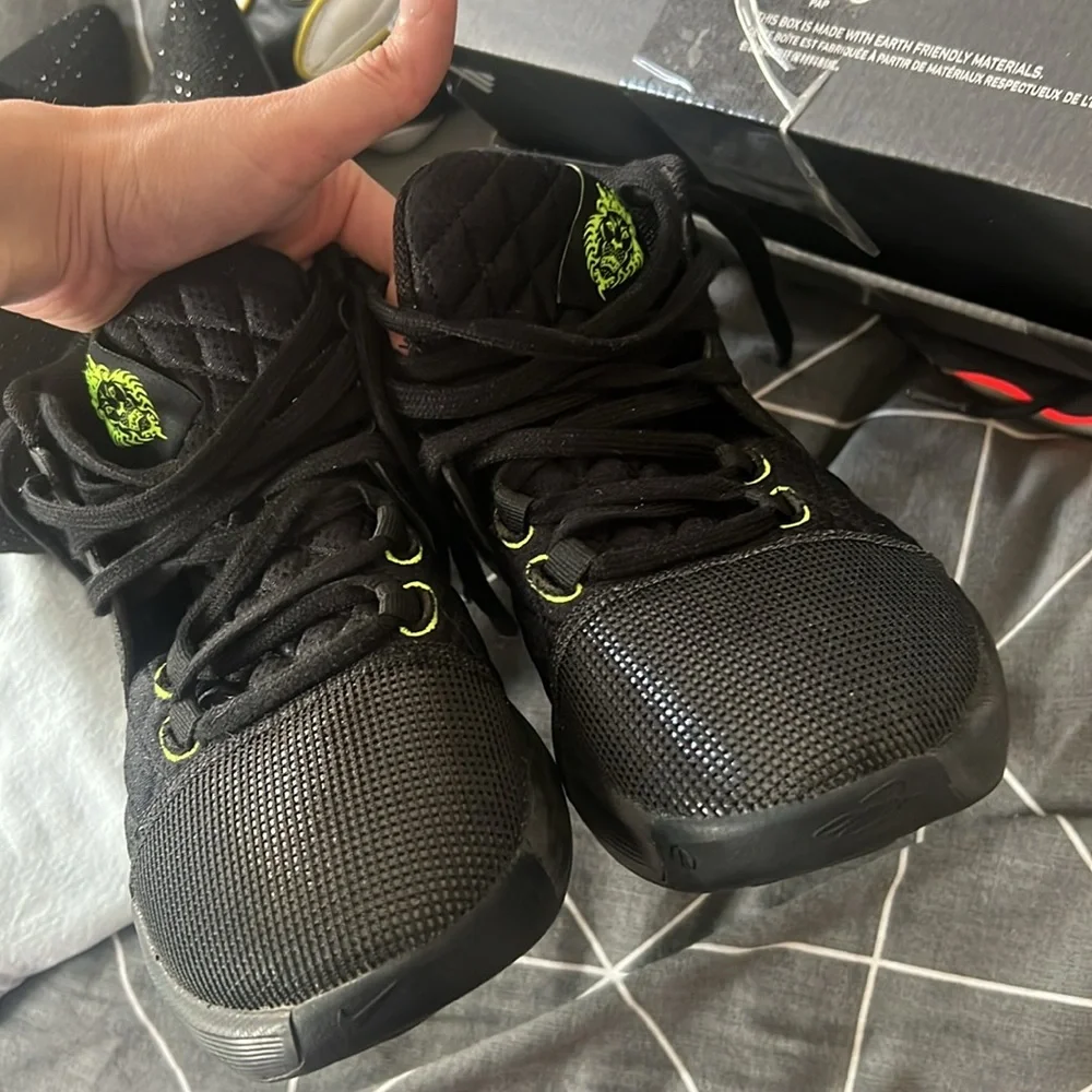 Lebrons - Picture 2 of 2